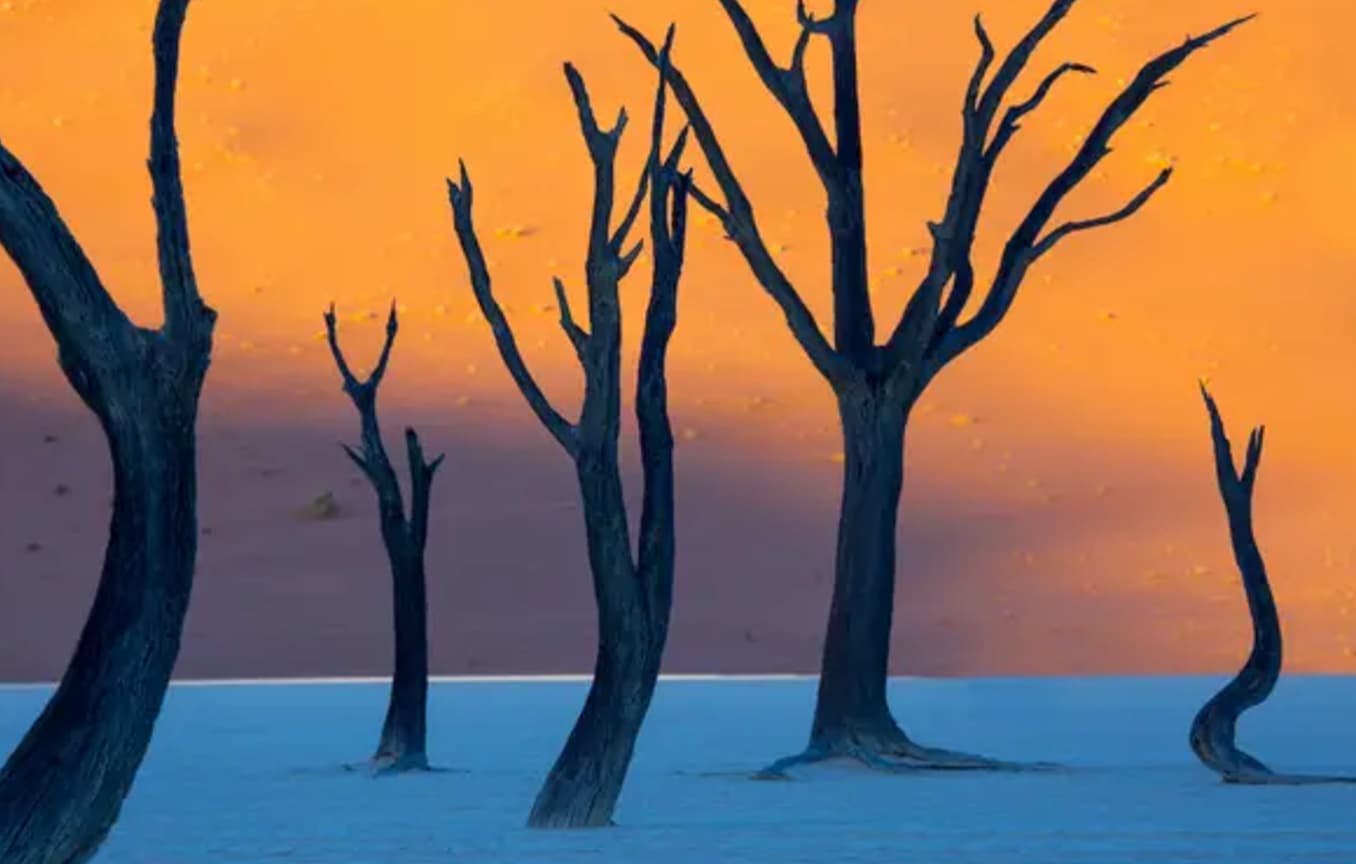 This isn't a Dalí, but rather,  Nambia’s Deadvlei white clay pan as seen at dusk. 